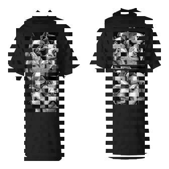 Hypnotic Boston Terriers Weird Eyes Weirdcore Halloween Dogs Tank Top T-Shirt | Mazezy