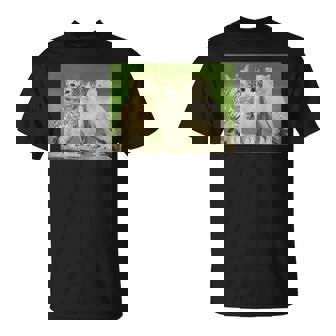 Meowl Trio Cat Owl Cursed Internet Trendy Meme T-Shirt | Seseable FR