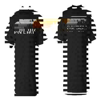 Point Cedar AR Vintage Evergreen Sunset Eighties Retro Tank Top T-Shirt | Mazezy