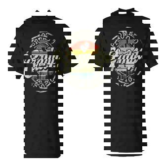 Promoted To Grandpa Est 2026 Pregnancy Announcement T-Shirt - Thegiftio