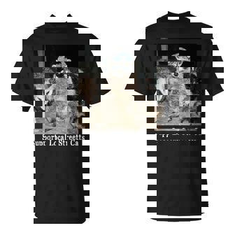 Support Local Street Cats Raccoon Skunk Possum Meme T-Shirt - Monsterry