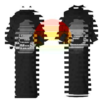 Vintage Sunset Millipede T-Shirt | Mazezy