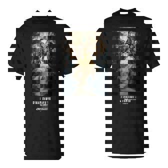 【公式】Final Fantasy アニバーサリーコレクション Ffxii Tza パッケージアート① 長袖tシャツ Tシャツ - Kawaiitshirt