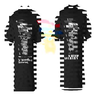 パラグアイ国旗 パラグアイのプライド Tシャツ - Kawaiitshirt