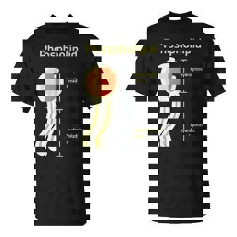 リン脂質 Tシャツ - Kawaiitshirt