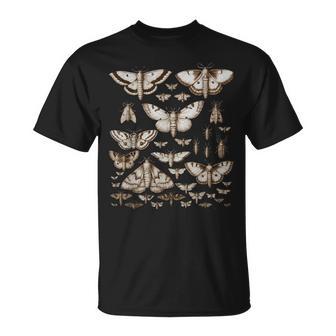 ヴィンテージ 蛾 蝶 自然 イラスト アート Tシャツ - Kawaiitshirt