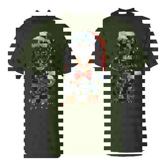 Cute Dachshund Dog Santa Hat Christmas Lights Pet Owner T-Shirt | Seseable CA