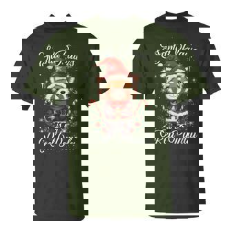 Santa Paws Red Panda Christmas Pun Xmas Pajama T-Shirt - Thegiftio