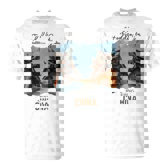 Beijing China Chinese City Historic Souvenirs Men Women Kids T-Shirt | Mazezy