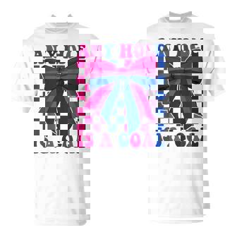 Bisexual Bi Pride Flag LGBTQ Any Hole Is A Goal T-Shirt | Mazezy