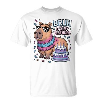 Bruh It's My Birthday Capybara Pinata Boy Girl Birthday T-Shirt - Thegiftio UK