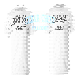 Cedar Crest High School HS Lebanon PA Vintage Sports Tank Top T-Shirt | Mazezy