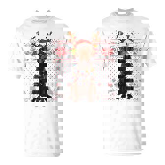 Christmas Dog With Hat And Lights Holiday Labrador Tri-Blend T-Shirt | Mazezy