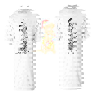 Holiday Santa Hat & Christmas Light Xmas Labrador Dog Tri-Blend T-Shirt | Mazezy