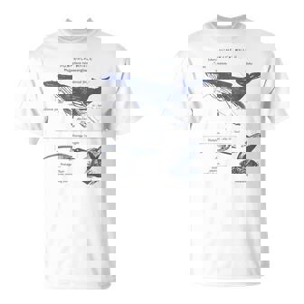 Humpack Whale Anatomy Marine Biology T-Shirt | Mazezy