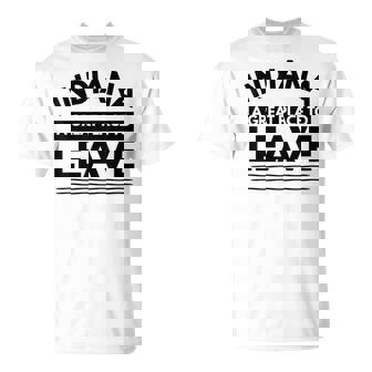 Indiana A Great Place To Leave Sarcastic Indiana Retro T-Shirt | Mazezy