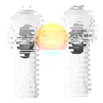 Vintage I'm The Reason Shepherds Pie Is Gone Food Lover Tri-Blend T-Shirt | Mazezy