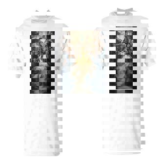 【公式】Final Fantasy アニバーサリーコレクション Ffxii Tza パッケージアート① Tシャツ - Kawaiitshirt