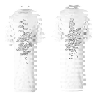 ウォールナットツリーリーフヴィンテージ植物学tシャツtシャツ Tシャツ - Kawaiitshirt