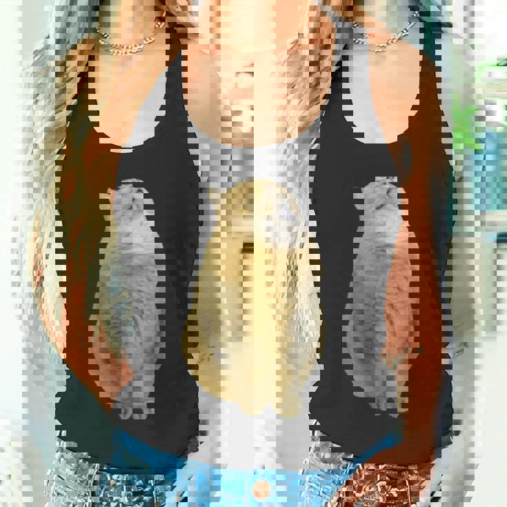 Meme Yellow Cat leep Internetiral タンクトップ