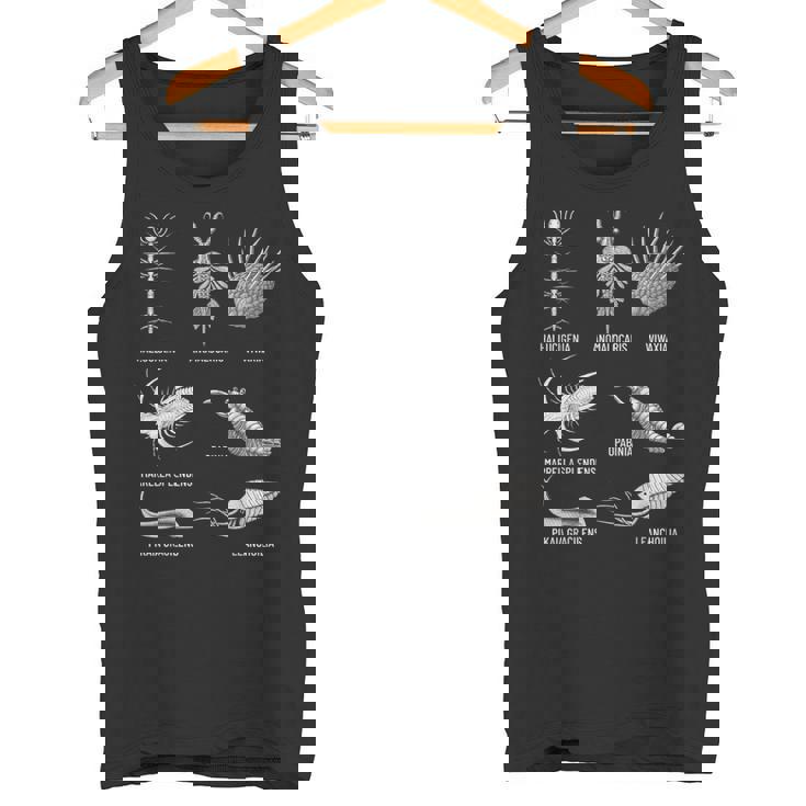 カンブリア紀 生き物 化石 古美術 進化 科学 恋人 タンクトップ