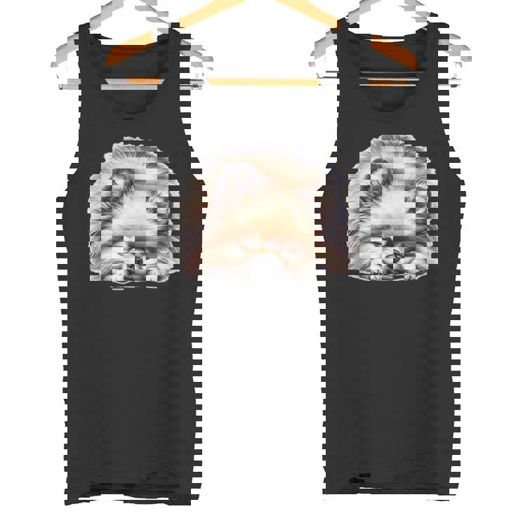 ポメラニアン × ポメラニアン 犬 寝ている タンクトップ