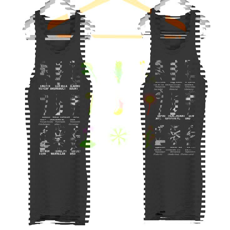 食虫植物 チャートハエトリグサ、食虫植物 タンクトップ