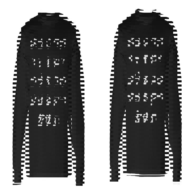 Ktav Ashuri アルファベット ヘブライ語 学生 スピーカー 長袖Tシャツ