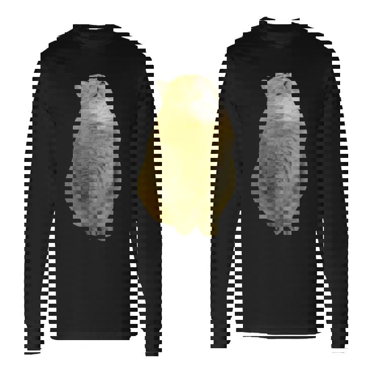 Meme Yellow Cat leep Internetiral 長袖Tシャツ