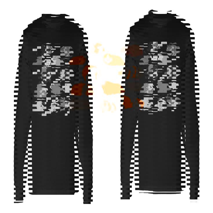 モルモット犬種シャツ 長袖Tシャツ