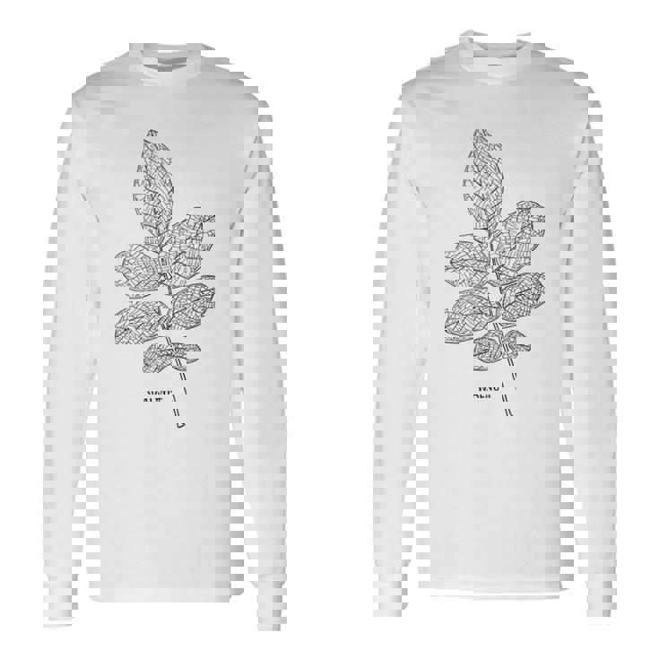 ウォールナットツリーリーフヴィンテージ植物学tシャツtシャツ 長袖Tシャツ