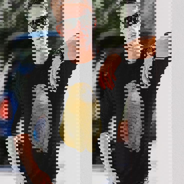 Meme Yellow Cat leep Internetiral 長袖Tシャツ 彼への贈り物