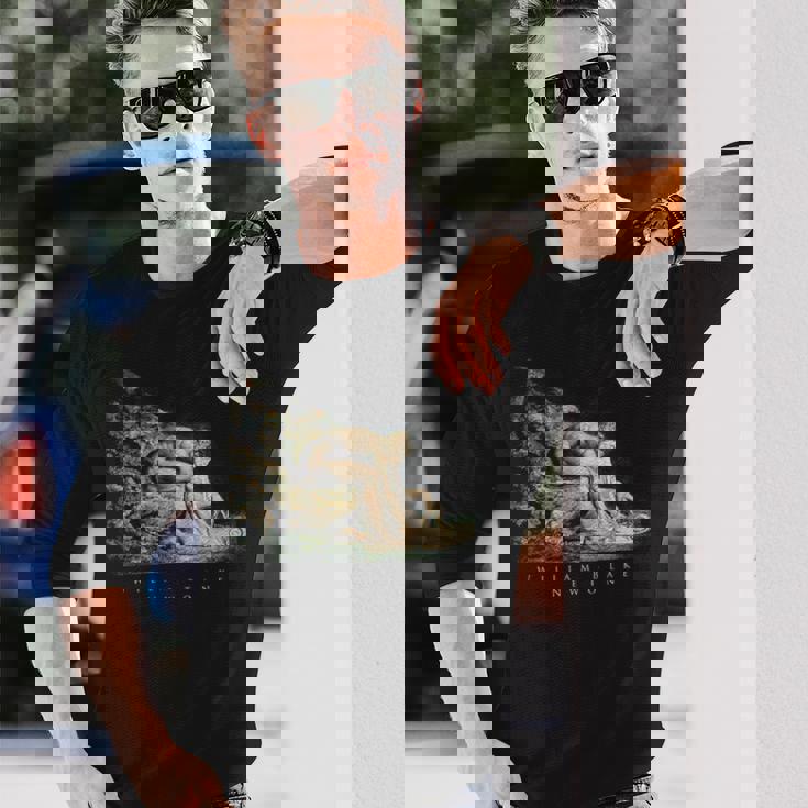 ウィリアム・ブレイク アイザック・ニュートンの肖像 物理学者 科学 芸術 William Blake Newton 長袖Tシャツ 彼への贈り物