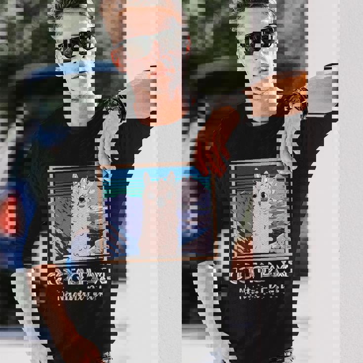 エクアドル山脈コトパクシ国立公園のかわいいラマ 長袖Tシャツ 彼への贈り物