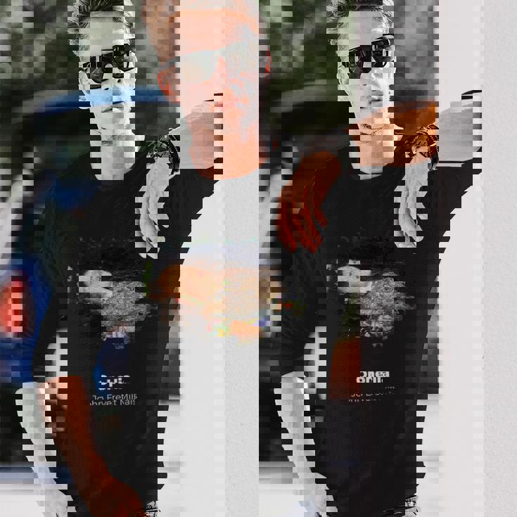 ジョン・エバレット・ミレーのオフィーリア・グランジ 長袖Tシャツ 彼への贈り物