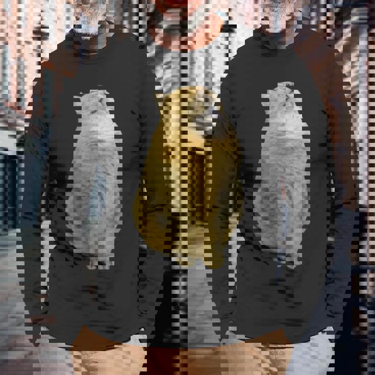 Meme Yellow Cat leep Internetiral 長袖Tシャツ 高齢者への贈り物