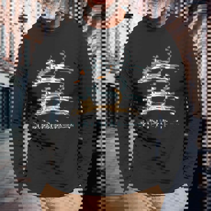 みょみょみょみょーん 猫 ネコ 茶トラ ハチワレ 三毛 シャム シュール おもしろ 可愛い メンズ レディース キッズ 長袖Tシャツ 高齢者への贈り物