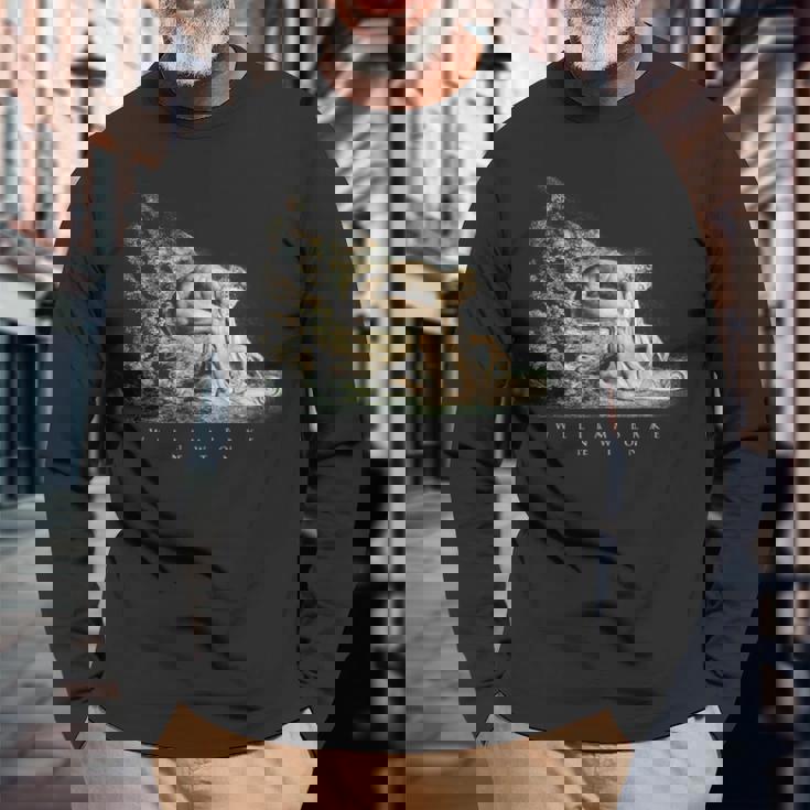 ウィリアム・ブレイク アイザック・ニュートンの肖像 物理学者 科学 芸術 William Blake Newton 長袖Tシャツ 高齢者への贈り物