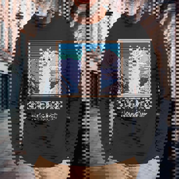 エクアドル山脈コトパクシ国立公園のかわいいラマ 長袖Tシャツ 高齢者への贈り物