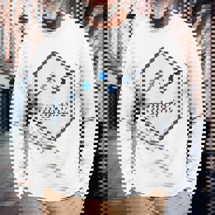 R Programming Ggplot2 六角tシャツ Rstudio Tidyverse Rstats 長袖Tシャツ 高齢者への贈り物