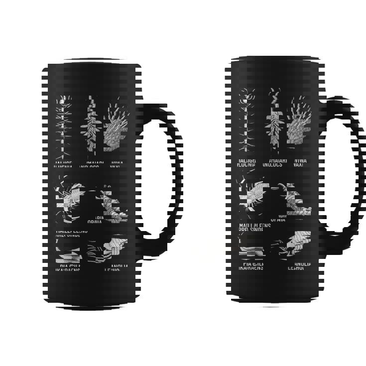 カンブリア紀 生き物 化石 古美術 進化 科学 恋人 コーヒーマグ