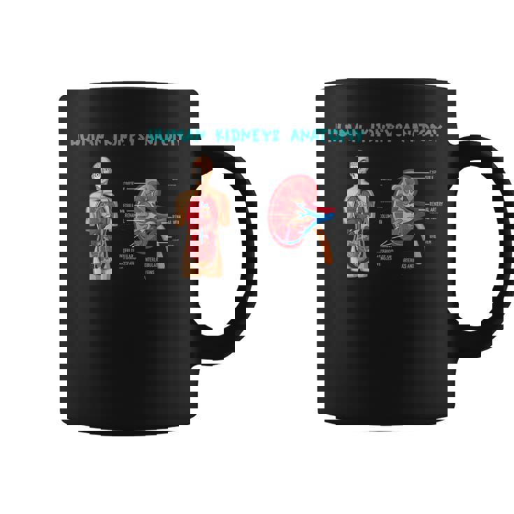 医療従事者のためのヒト腎臓の解剖学 コーヒーマグ