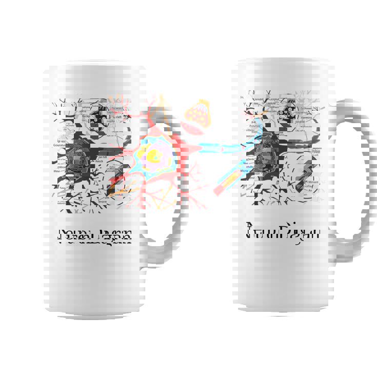 Diagrama De Neuronas Etiquetado Con Células Nerviosas Taza de café