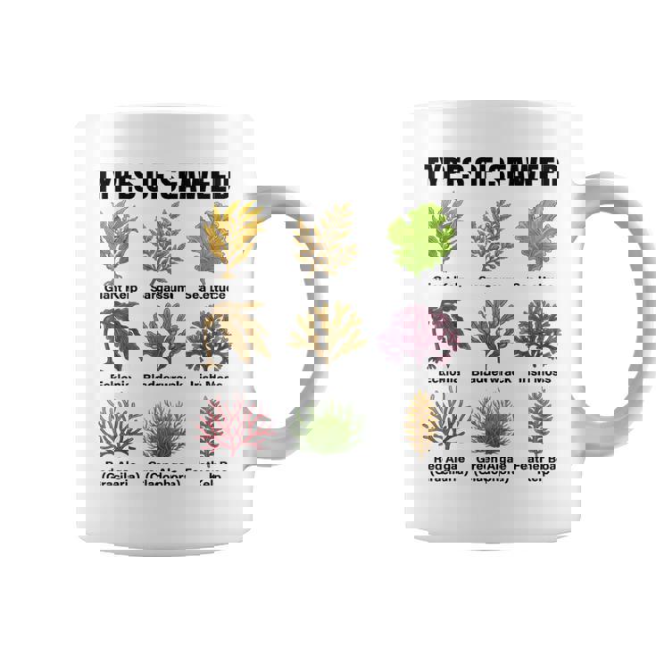 海藻の種類、海藻種チャート、海藻の種類 コーヒーマグ