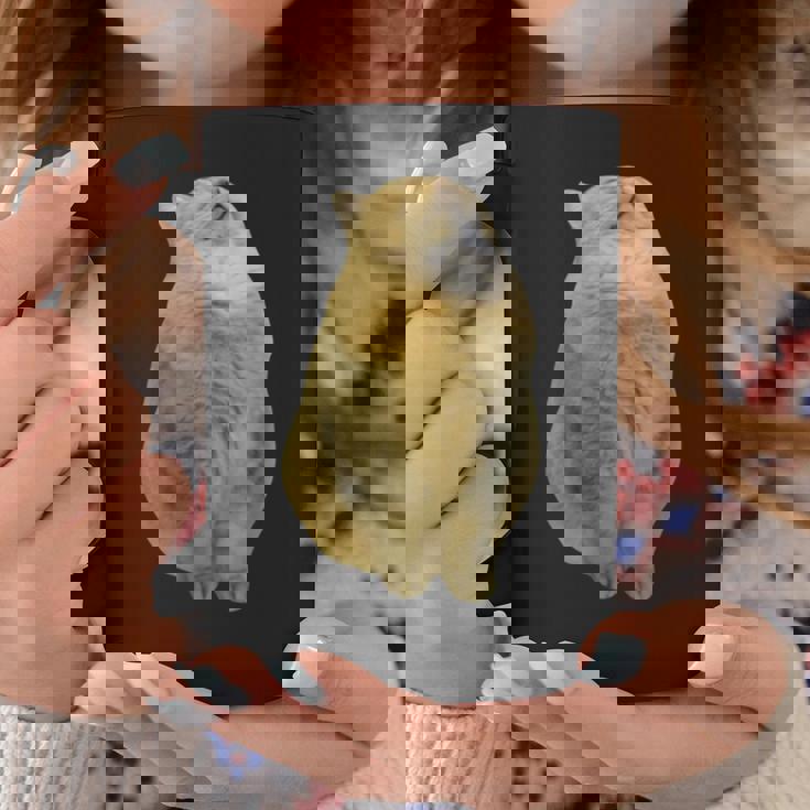 Meme Yellow Cat leep Internetiral コーヒーマグ 面白い贈り物