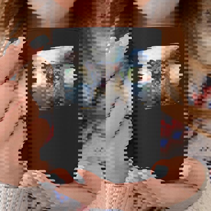 アジアパームシベット パラドクスルス ヘルマプロディタス コーヒーマグ 面白い贈り物