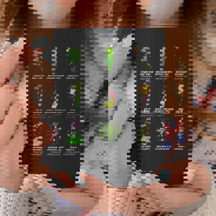 食虫植物 チャートハエトリグサ、食虫植物 コーヒーマグ 面白い贈り物