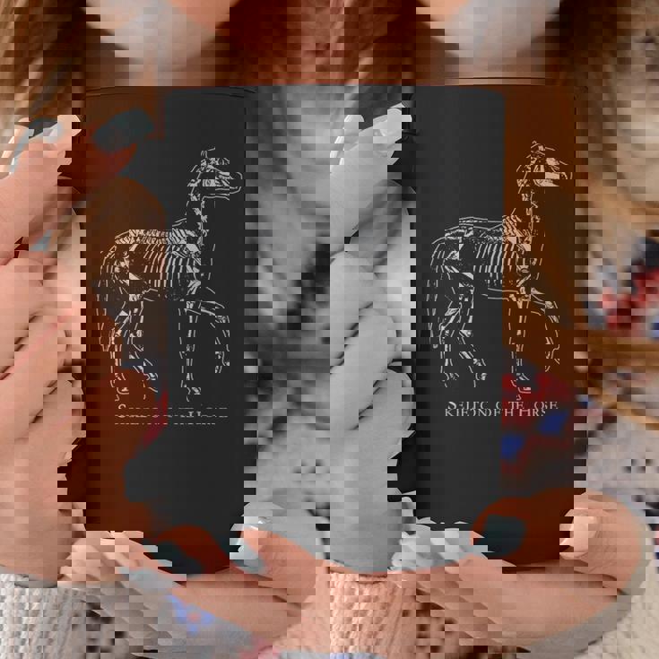 馬の骨格系 スタディ エクウス フェラス 馬の恋人 ビンテージ コーヒーマグ 面白い贈り物