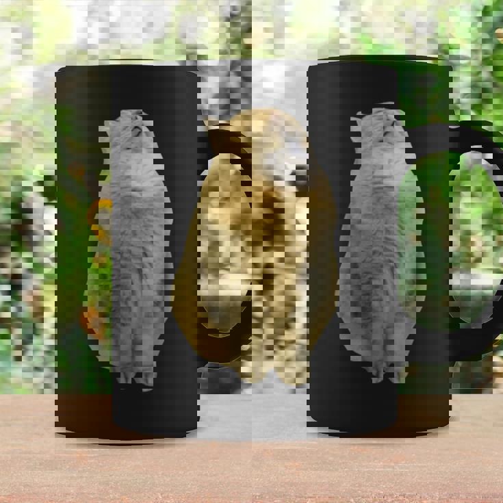 Meme Yellow Cat leep Internetiral コーヒーマグ ギフトのアイデア