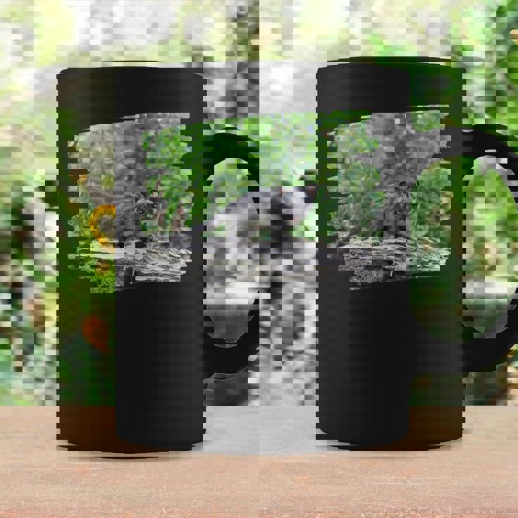 アフリカンパームシベット コーヒーマグ ギフトのアイデア